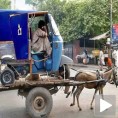 Најјефтинији превоз, икада