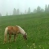 Нетакнута природа Јадовника 
