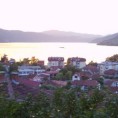 Пулс