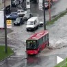 Мишко тренира ватерполо