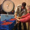 Бољи положај малинара  