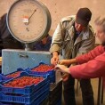 Бољи положај малинара  