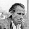 Код пеликана