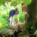 Овце настрадале у невремену