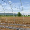 Невреме опустошило нишка села 