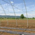 Невреме опустошило нишка села 