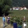 Малинари незадовољни ценом