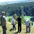 Енциклопедија за радознале