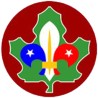Век скаута
