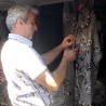 Плетилац