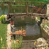 Летње чари Копаоника