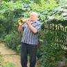 Прича о старом трубачу 