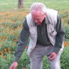 Говори да бих те видео