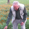 Говори да бих те видео