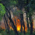 Пожари у Прокупљу и Краљеву