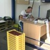 Унија малинара најављује протесте