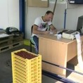 Унија малинара најављује протесте