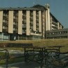 Уместо гостију, јата птица