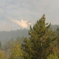 Пожар код Краљева под контролом