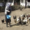 Моравске приче