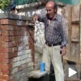 Седам година без воде 
