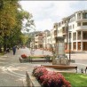 Медицинска дијаспора у Врњачкој Бањи