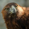 Траг у простору: Светска нематеријална баштина