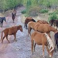 Паре бачене низ Стару планину
