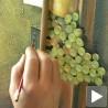 Сликари у Геронтолошком центру