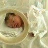 Замало рођен у шуми