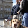 Говори да бих те видео