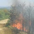 Локализовано неколико пожара 