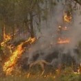 Нови пожари код Трговишта 