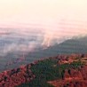 Пожари у Пчињском округу