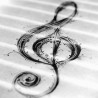 Кулурни кругови: Ars sonora