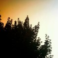 Саша Војводић – Летна: албум "Адриа" 