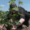 Траг у простору: Тајне буковског брда