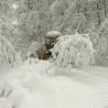 Завејана Црна Трава
