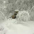 Завејана Црна Трава
