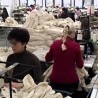 Високи критеријуми или мањак стручности?