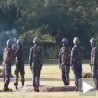 Кинески хркљуш