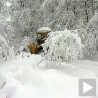Ледени дани у Србији