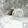 Ледени дани у Србији