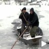 Арктик на Лиму