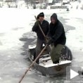 Арктик на Лиму