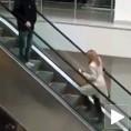 Сама против свих
