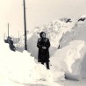 Зима као педесет и неке