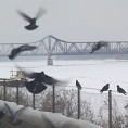 Шабачка разгледница
