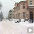 Алексиначки сметови