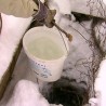 Живот у Игрошу